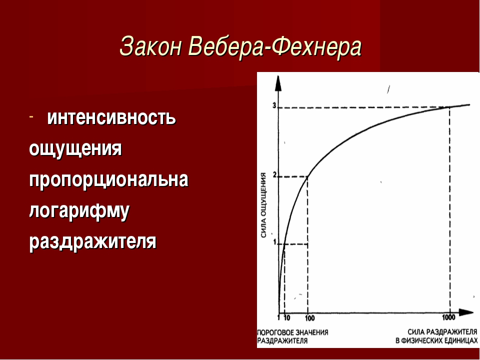 Закон Вебера - Фехнера в психологии: