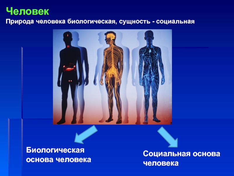 Биологическая и социальная природа человека 8 класс презентация