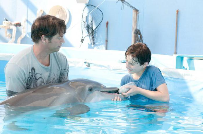 История дельфина актеры