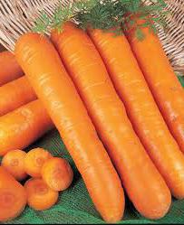 Морковь Нантская отзывы