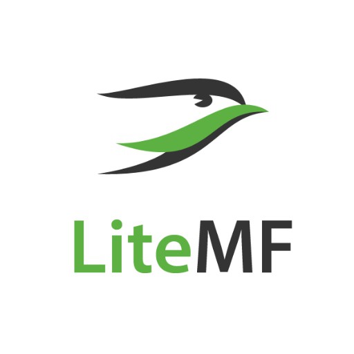 LiteMF отзывы