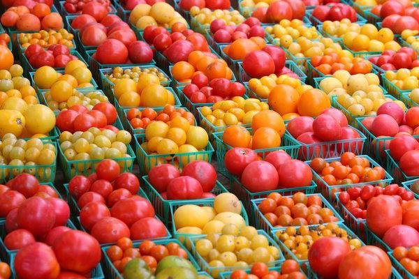 сорта томатов для ленинградской области 