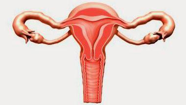 воспаление яичников симптомы и лечение у женщин