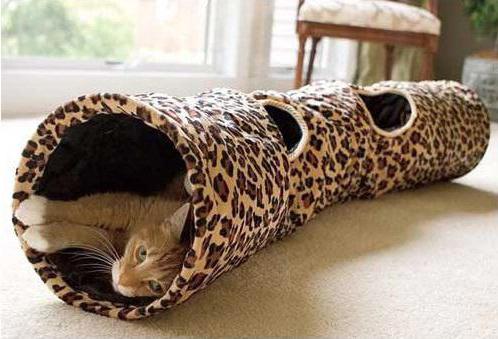 cat tunnel