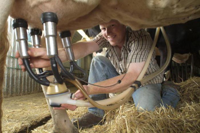 household milking machines for cows