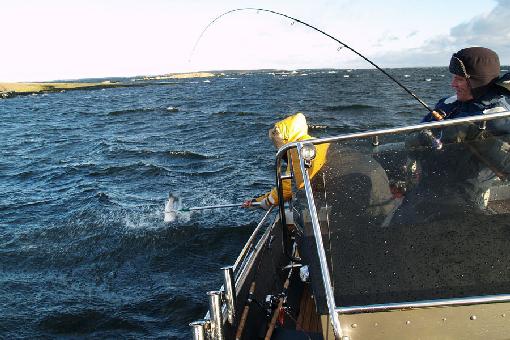 рыбалка на заливе финском