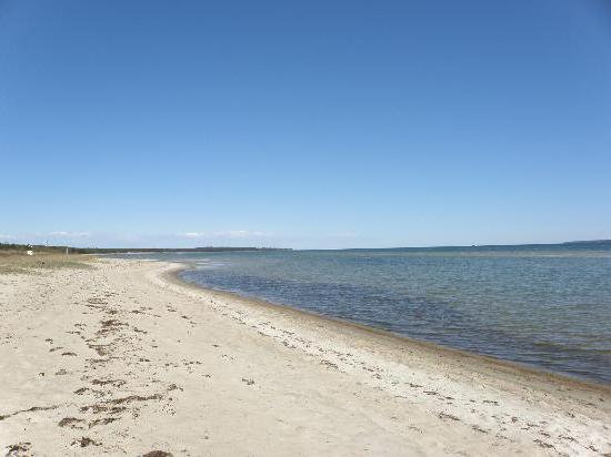 Gulf of Finland beaches