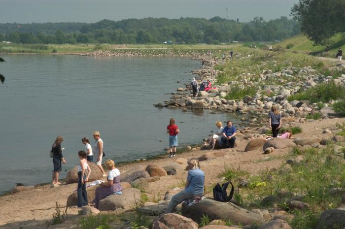 температура воды в финском заливе