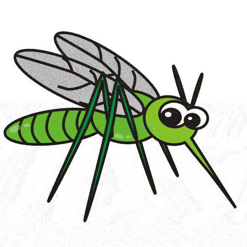 значение фразеологизма комар носа не подточит