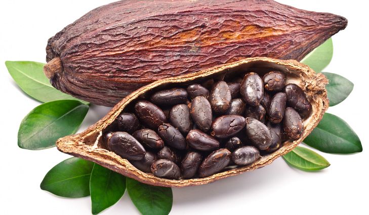 cocoa beans