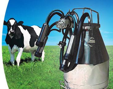 cow milking machine