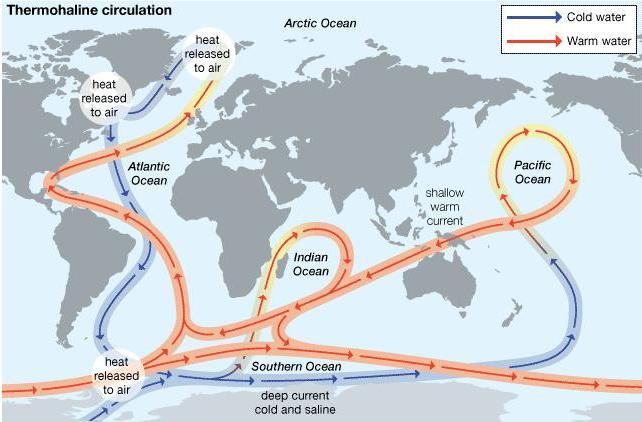 термохалинная циркуляция мирового океана