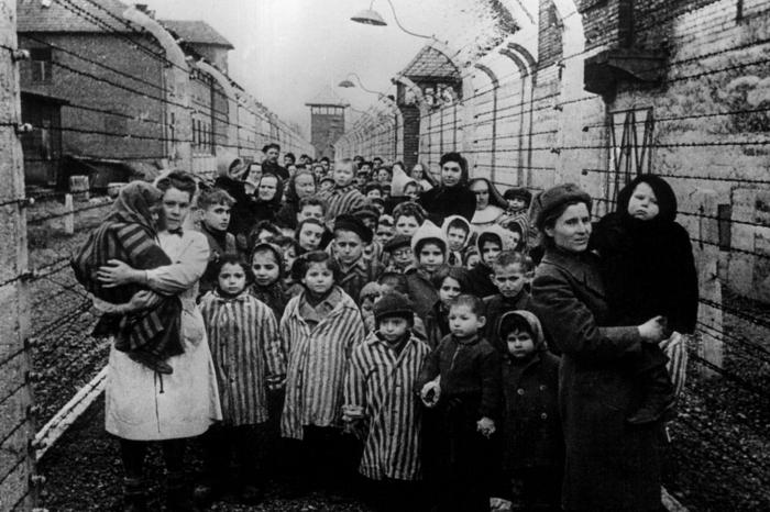аушвиц концентрационный лагерь