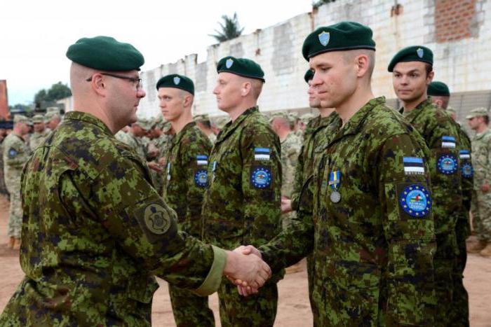 армия Эстонии 