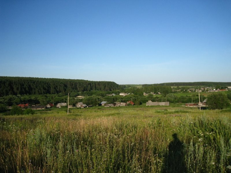 The surroundings of Sosnovoborsk