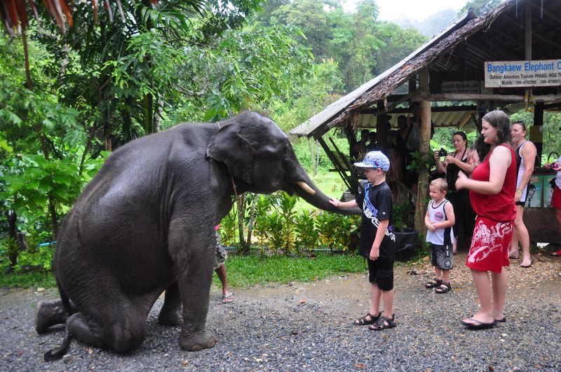 Треккинг на слонах в Таиланде