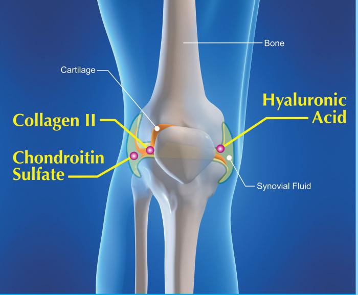 Glucosamine & Chondroitin & MSM SAN отзывы 