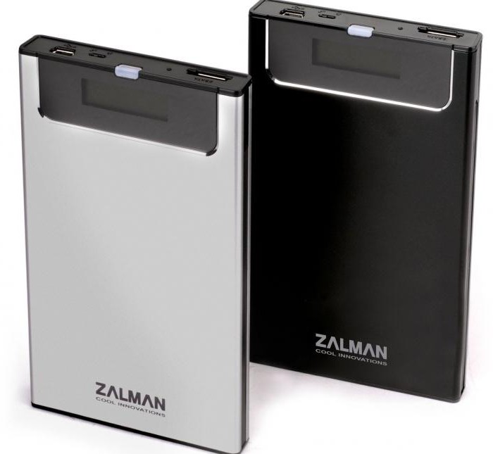 Zalman VE300 