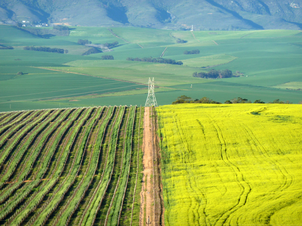 Сельскохозяйственный ландшафт фото