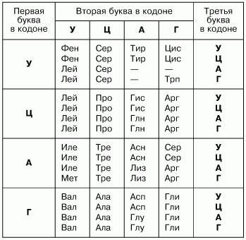 Составьте генетический ряд кальция используя схему