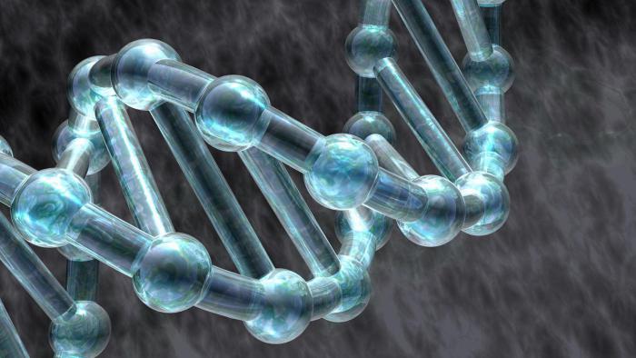 ферменты редупликации ДНК