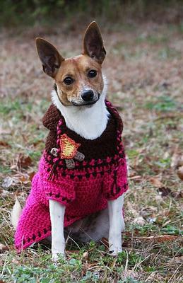 knitted jumpsuit for dogs