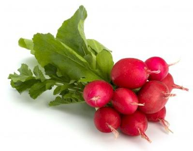can eat radish during pregnancy