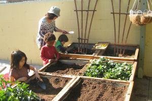 Winter decoration of kindergarten plots