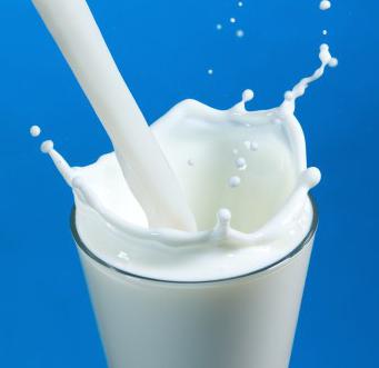 сколько литров молока способна давать одна корова
