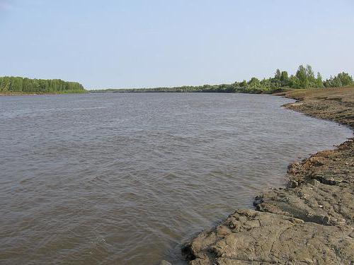 река чулым притоки
