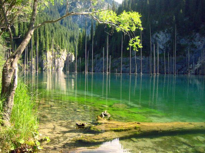 kolsai lakes