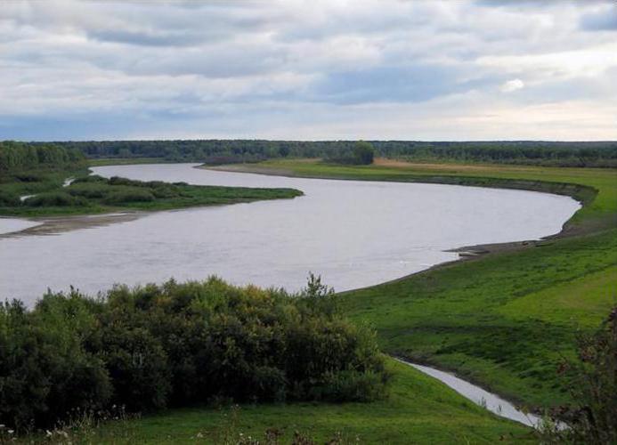 где находится исток реки туры свердловской области