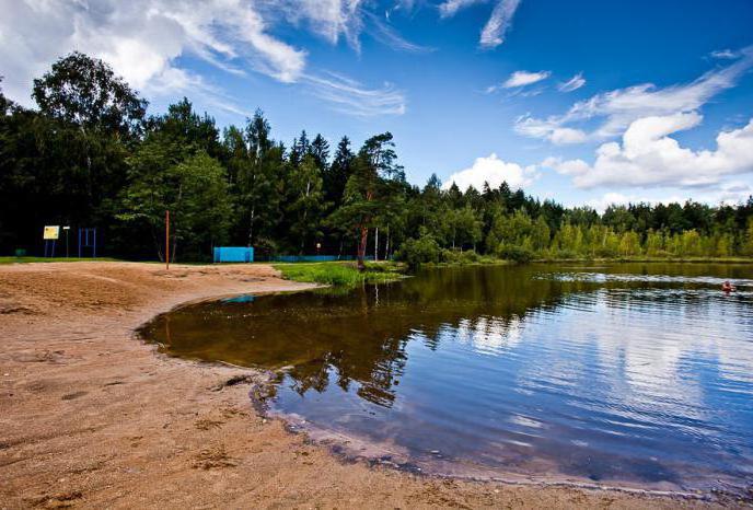 black lake Zelenograd how to get