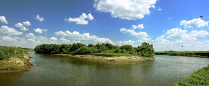 река пышма свердловская область