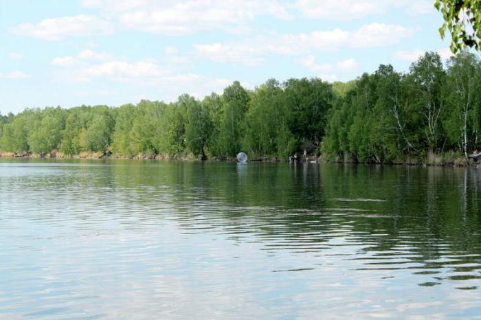 озеро линево курганская область