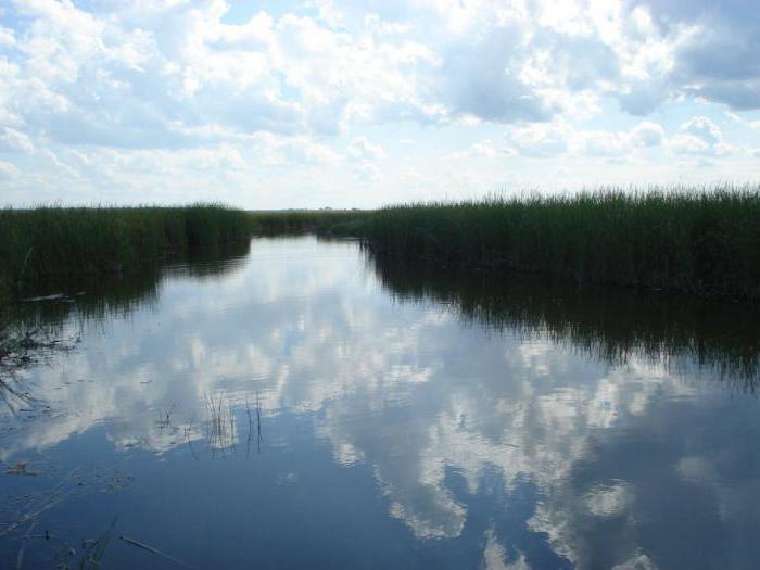 озера кемеровской области для отдыха