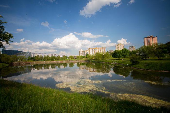 Цнянское водохранилище минск фото