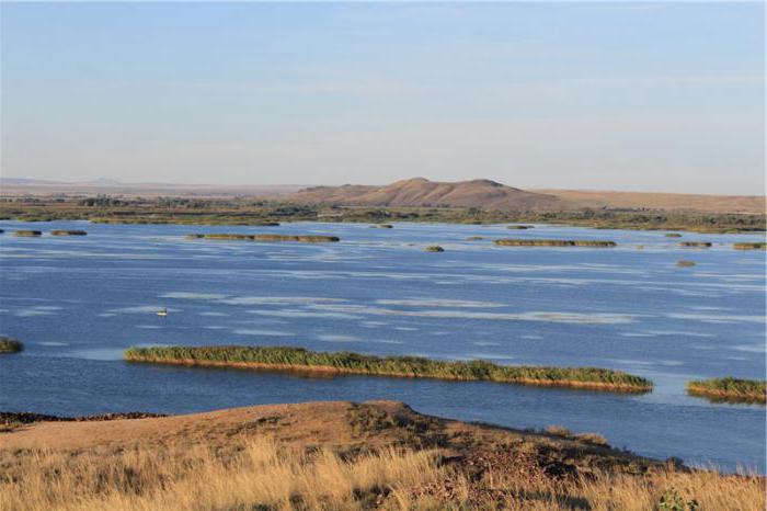 прорвало шульбинское водохранилище