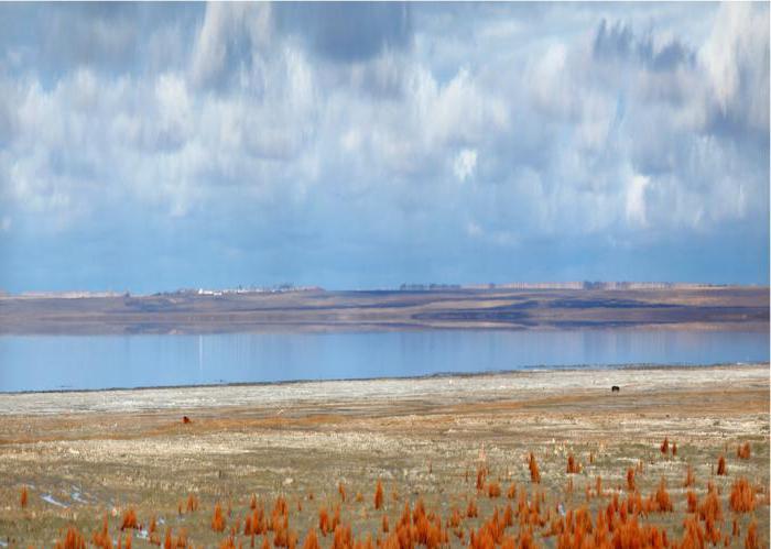 отдых на озерах омской области