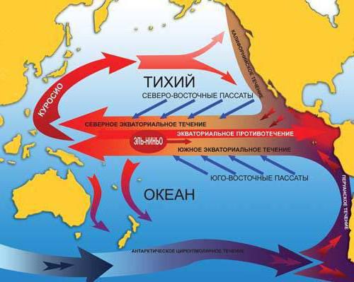 Карта тихого океана с течениями