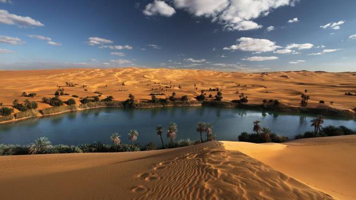оазис в ливийской пустыне
