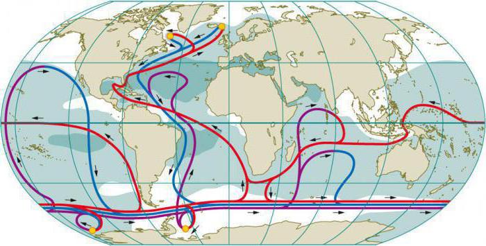 холодное течение атлантического океана название