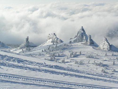 green sheregesh mountain