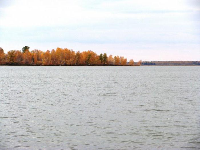 озеро берчикуль кемеровской области