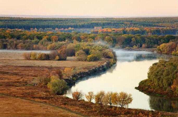 Тихая река неподвижная как болото была любимым местом жарким летним днем