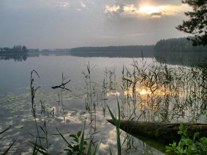 озеро кщара владимирская область