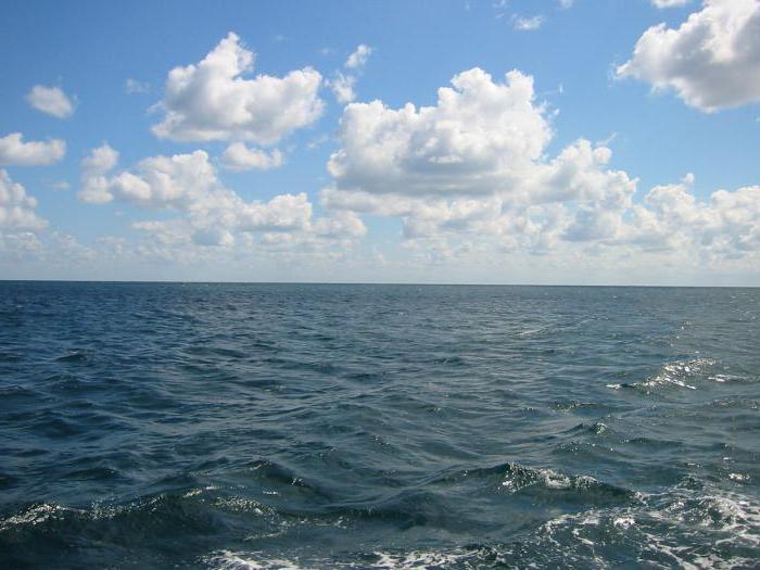 Слияние черного и азовского морей фото