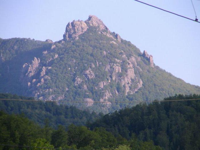 mountain turkey Krasnodar Territory