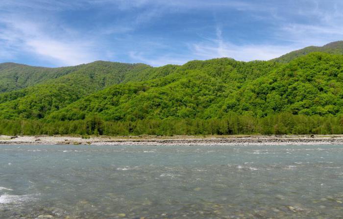 river shah sochi