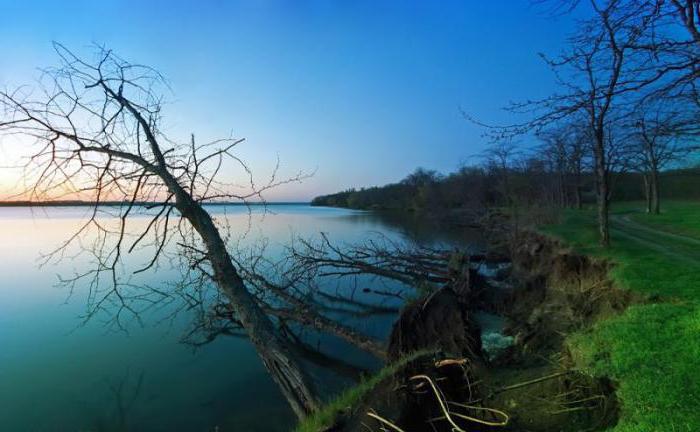 Новотроицкое водохранилище база жемчужина фото